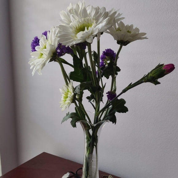 Meet your Posher, Danielle - Picture 10 of 11